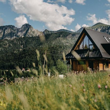 Sywarne Chalet Kościelisko Buitenkant foto