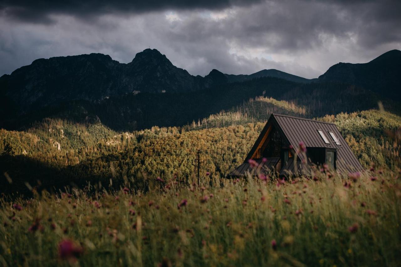 Sywarne Chalet Kościelisko Buitenkant foto