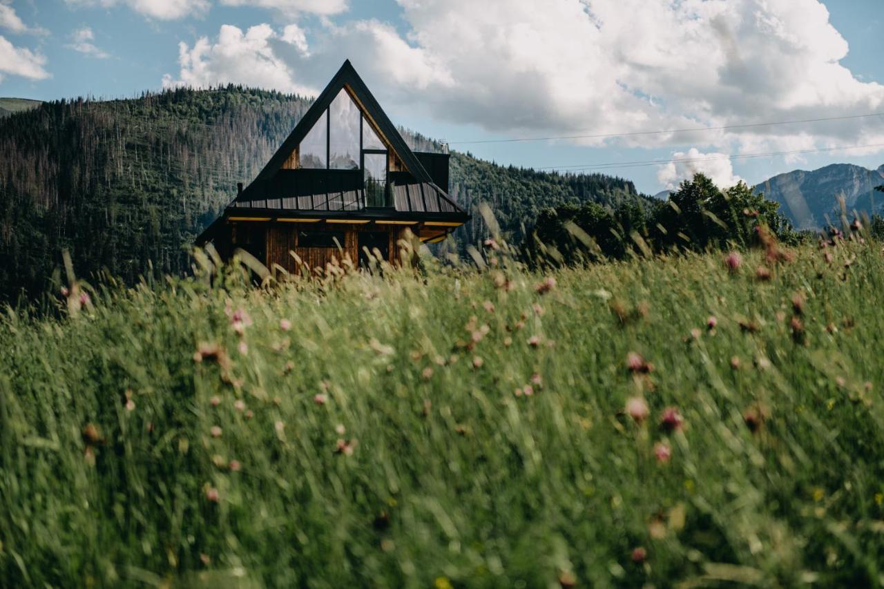 Sywarne Chalet Kościelisko Buitenkant foto